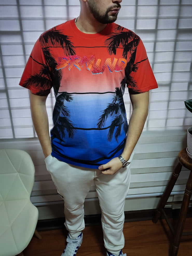 Polera Hombre Marca DreamLand Bordada